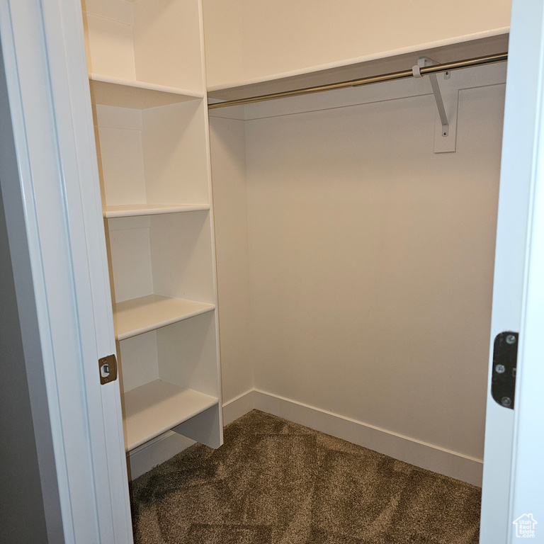 Spacious closet with dark colored carpet