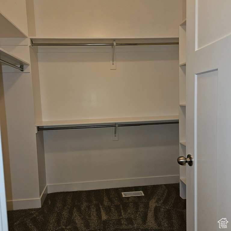 Spacious closet featuring dark colored carpet