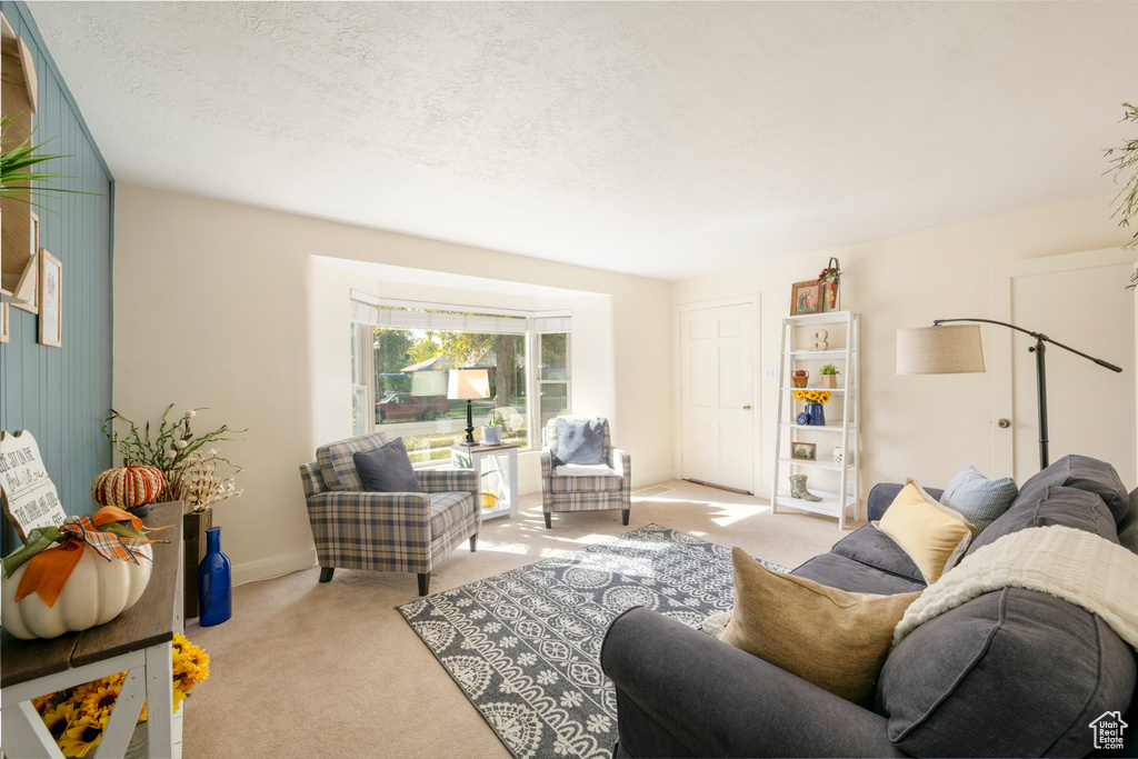 Carpeted living room featuring a textured ceiling