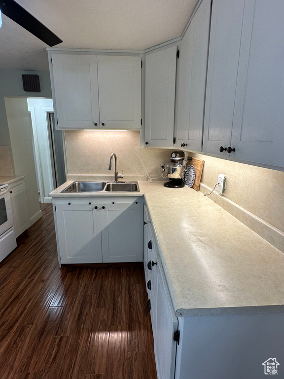 Kitchen with white cabinetry, dark hardwood / wood-style floors, and sink