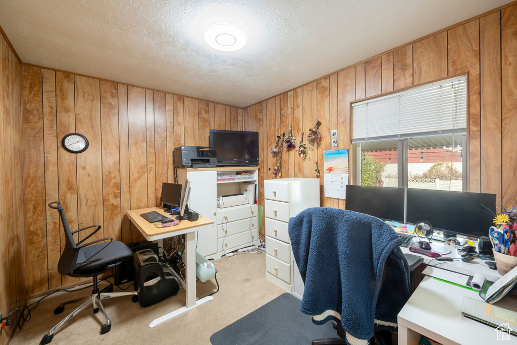 Office space with wood walls, light colored carpet, and a textured ceiling