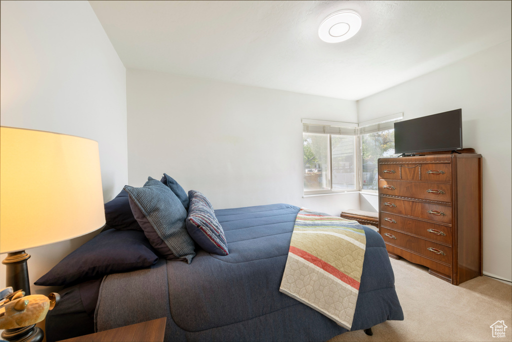 Bedroom with light colored carpet