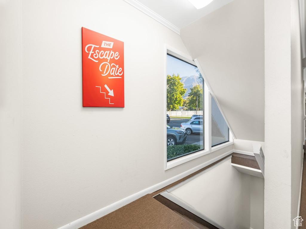 Interior space with crown molding and carpet flooring