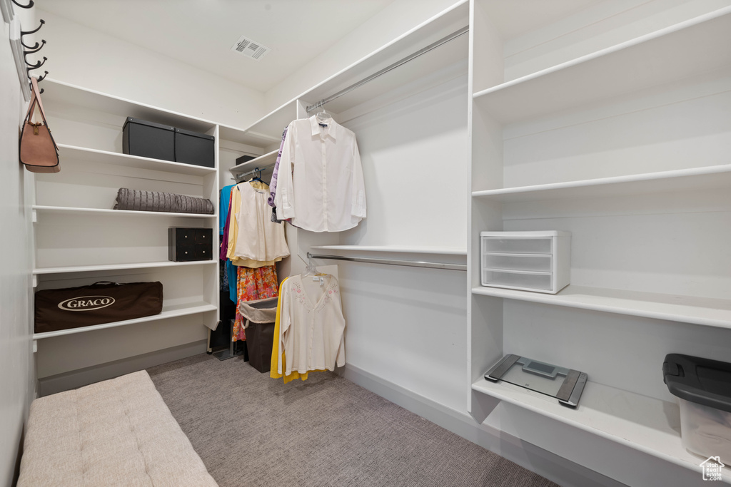 Spacious closet featuring carpet floors