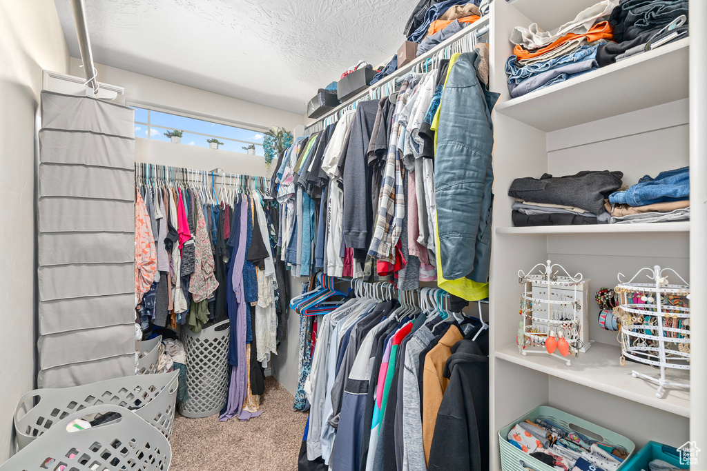 Walk in closet with carpet floors