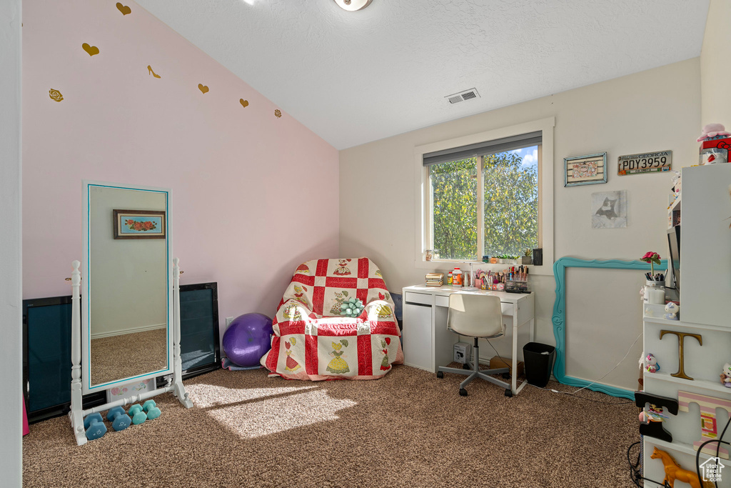 Rec room featuring carpet floors, a textured ceiling, and vaulted ceiling