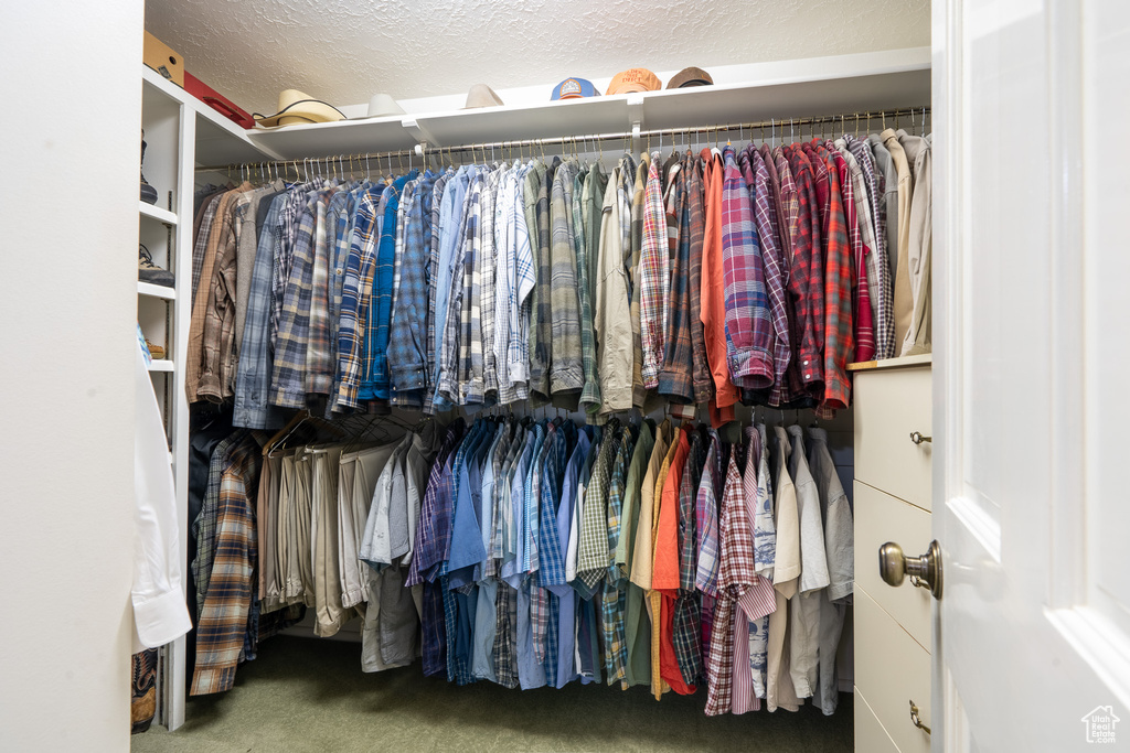 Walk in closet featuring carpet floors