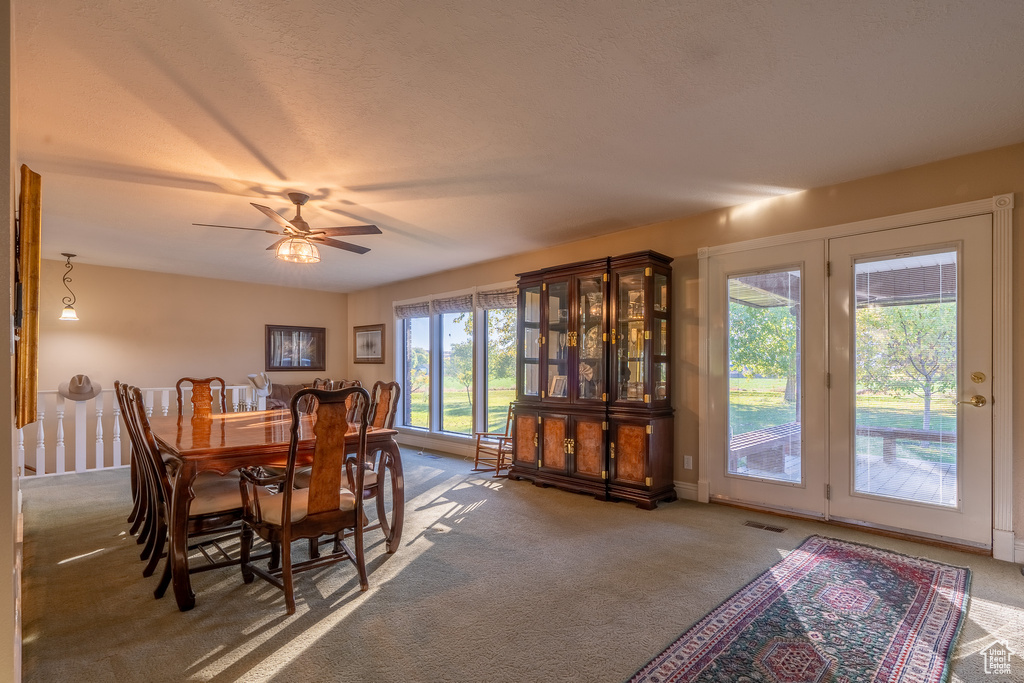 Dining space with a wealth of natural light, a textured ceiling, carpet floors, and ceiling fan