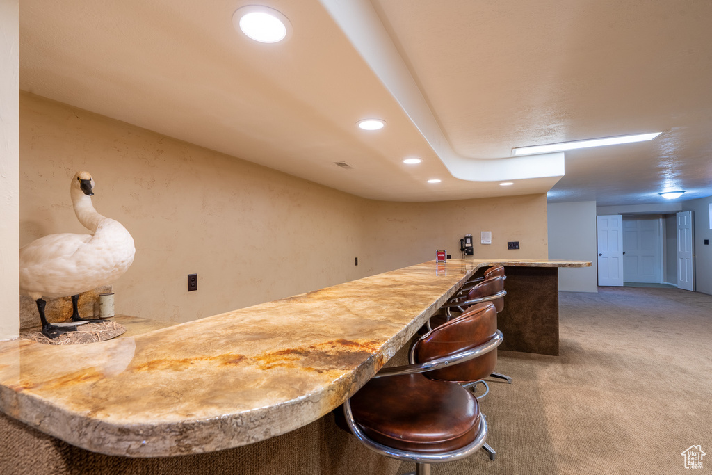 Bar with carpet floors