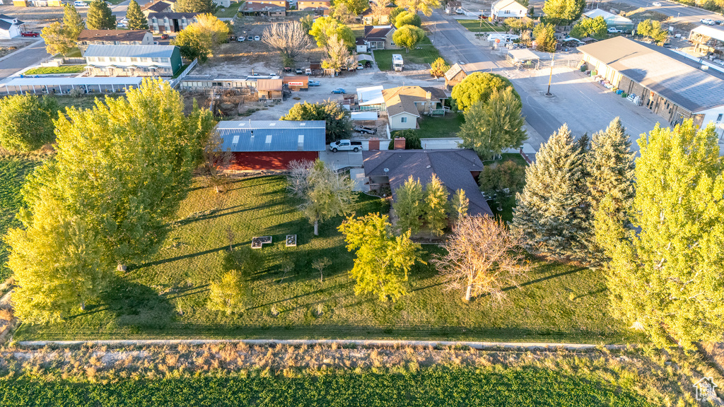Bird\'s eye view