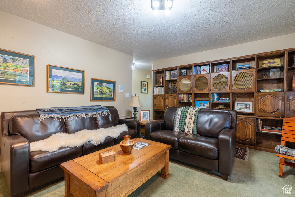 Carpeted living room with a textured ceiling
