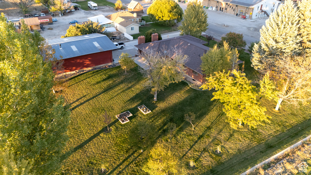 Bird\'s eye view