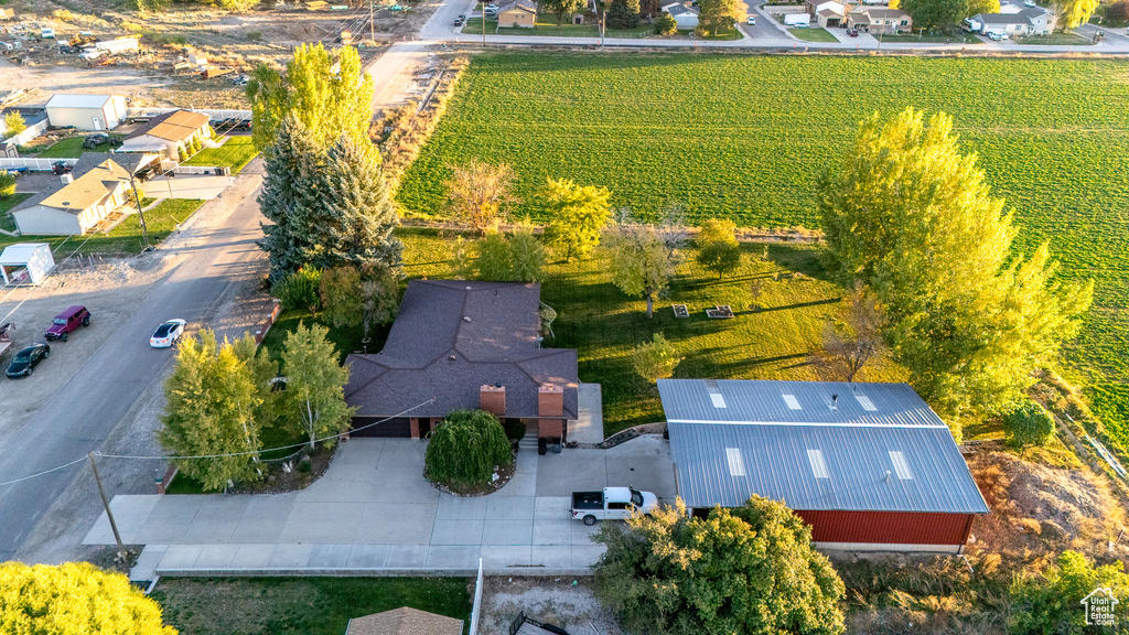 Bird\'s eye view