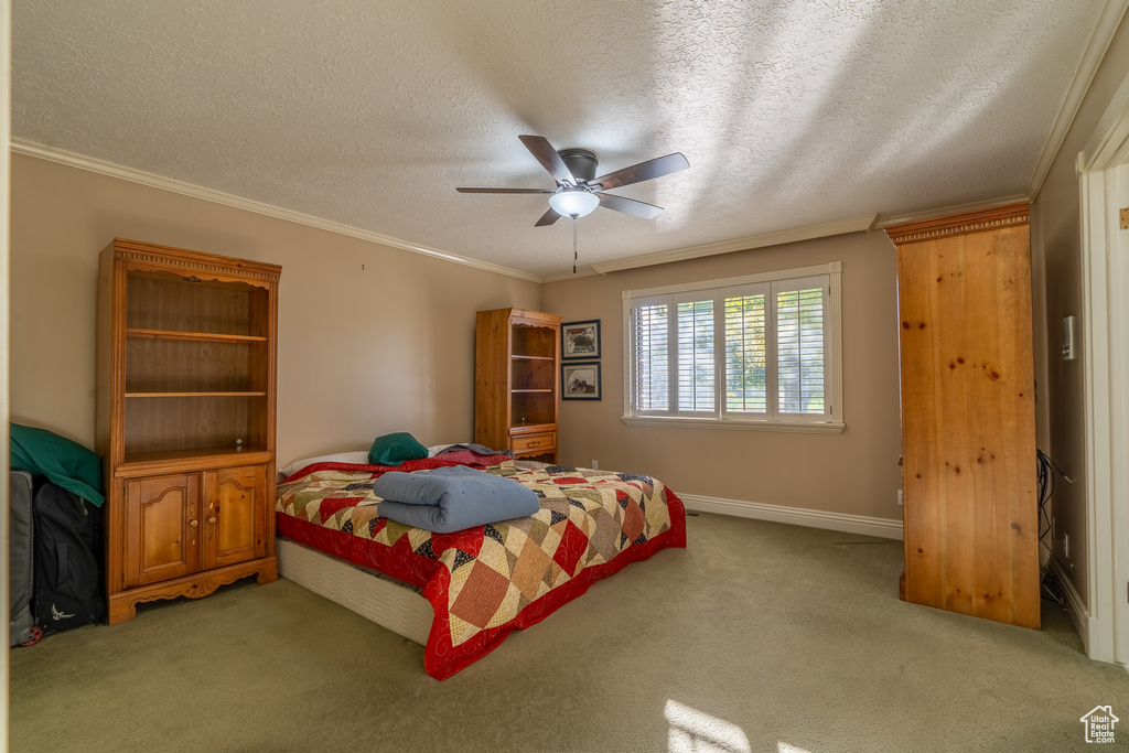 Carpeted bedroom with ornamental molding, a textured ceiling, and ceiling fan