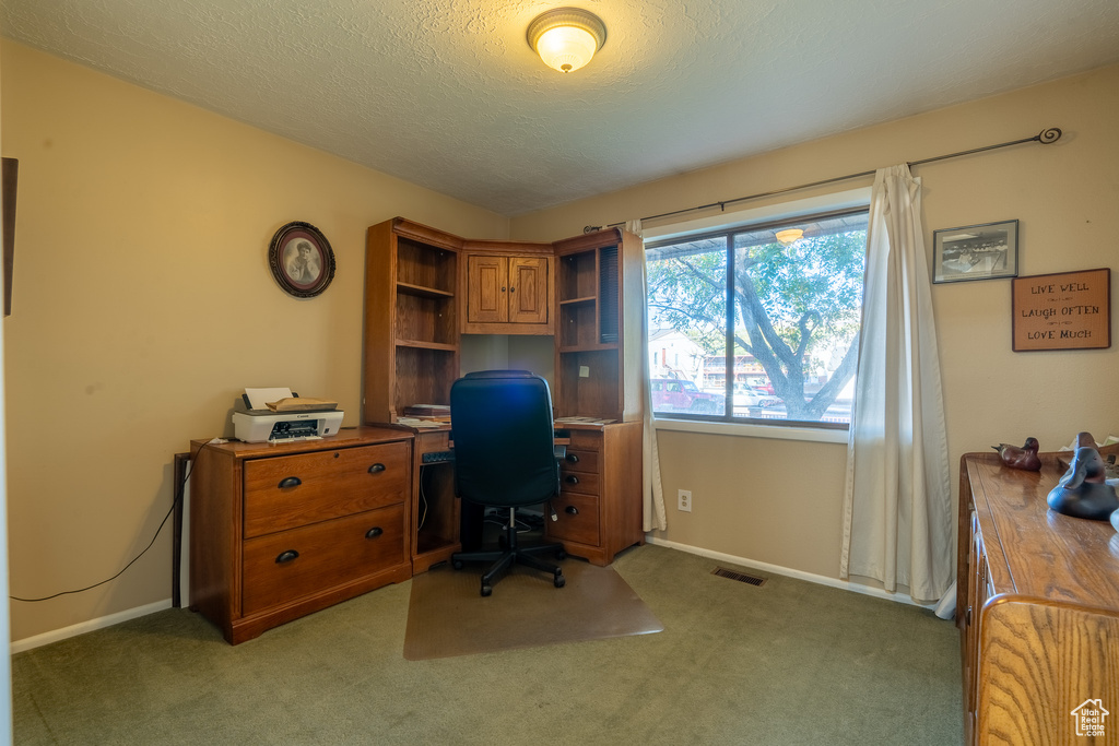 Carpeted office space featuring a textured ceiling