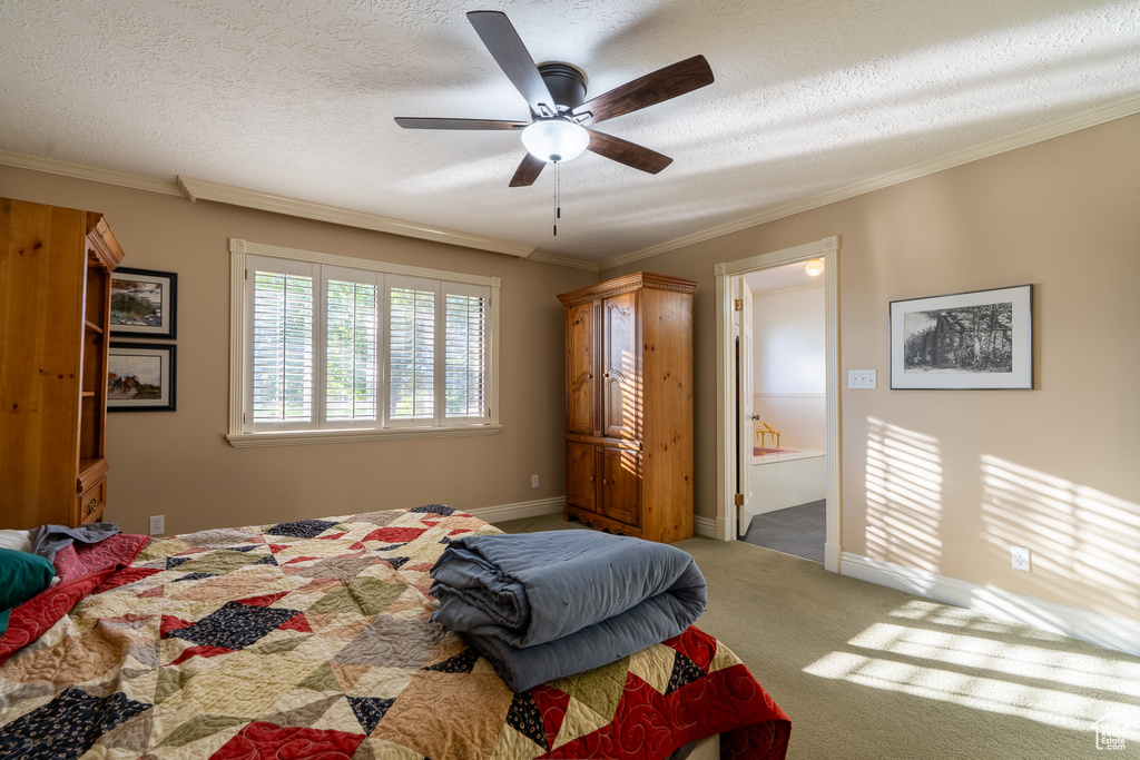 Carpeted bedroom with ornamental molding, a textured ceiling, ensuite bathroom, and ceiling fan