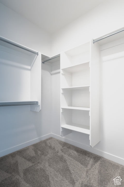 Walk in closet with carpet flooring