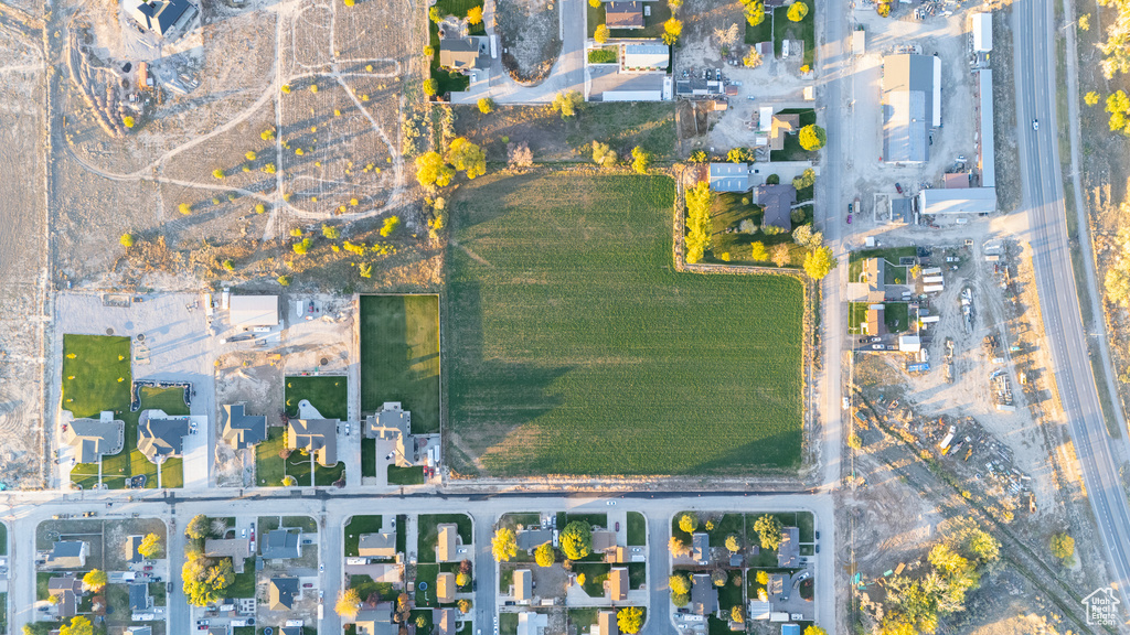Bird\'s eye view