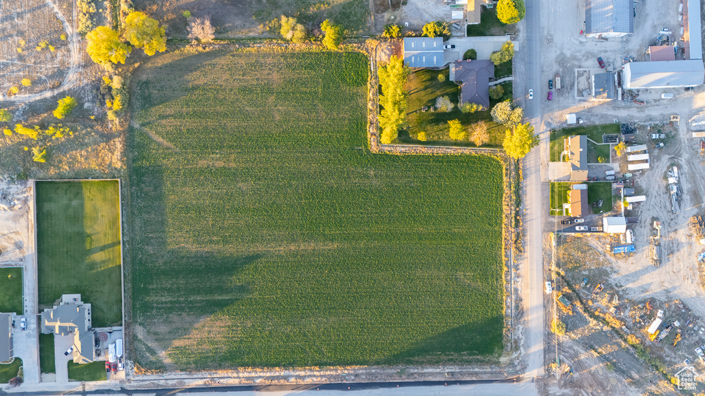 Bird\'s eye view