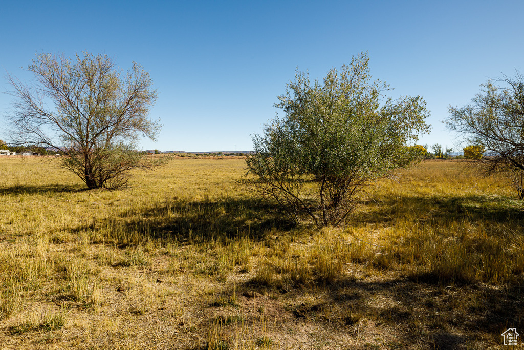 View of local wilderness with a rural view