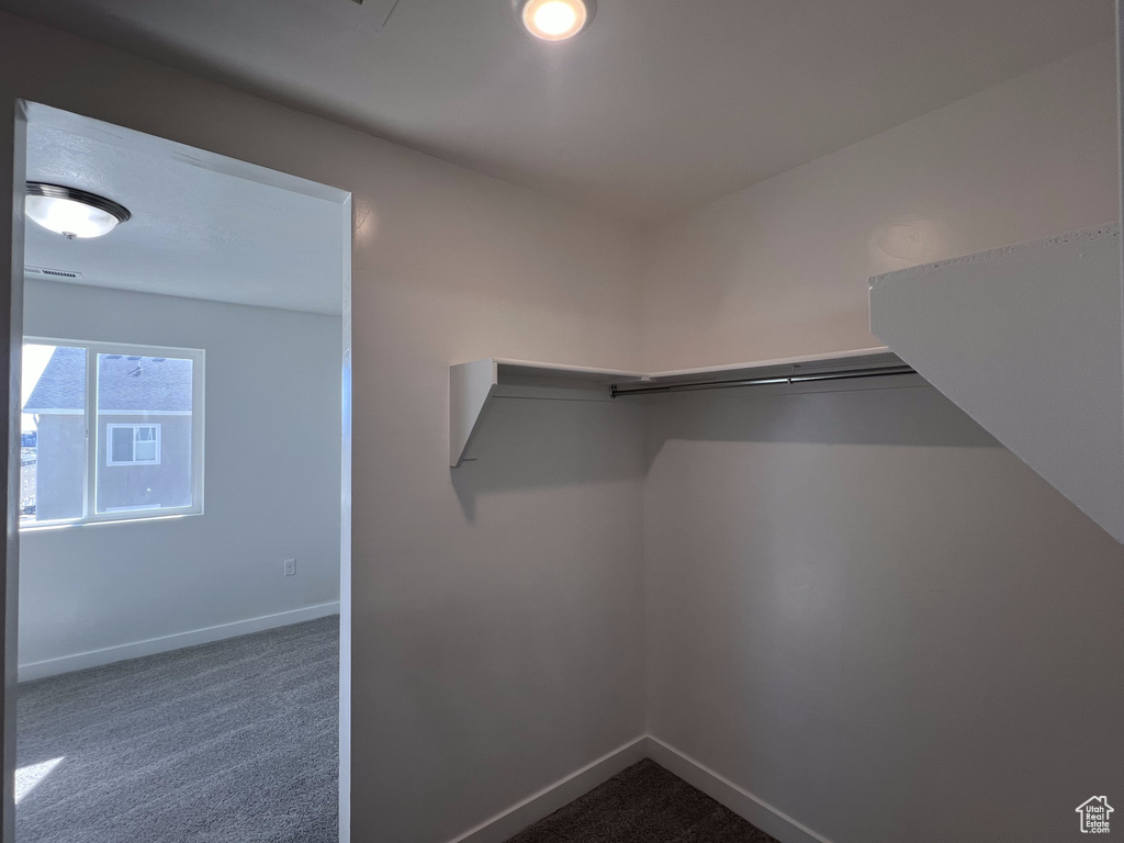 Spacious closet with dark colored carpet