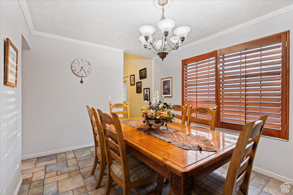 Dining area with ornamental molding, a textured ceiling, and a healthy amount of sunlight