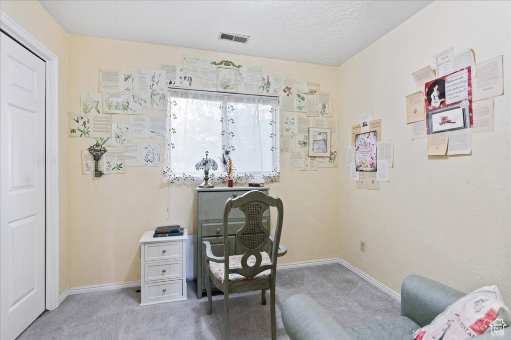 Living area with carpet and a textured ceiling