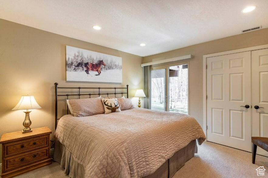 Carpeted bedroom with a closet and access to outside