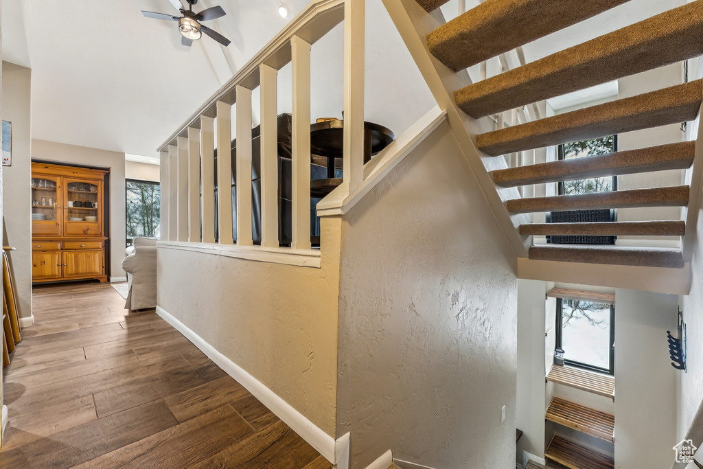 Stairs featuring plenty of natural light, a ceiling fan, baseboards, and wood finished floors