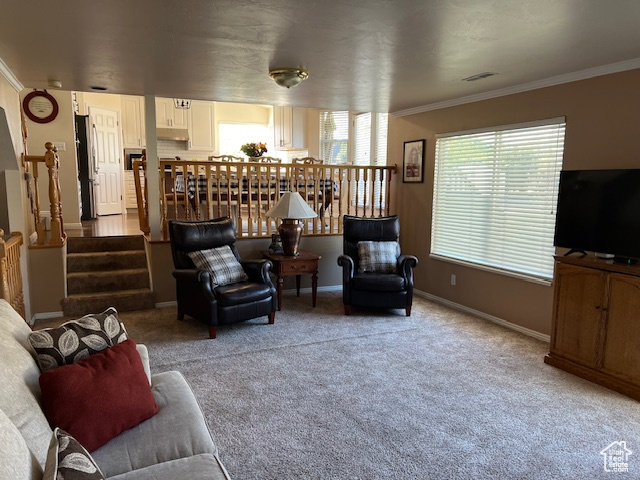 Carpeted living room featuring ornamental molding