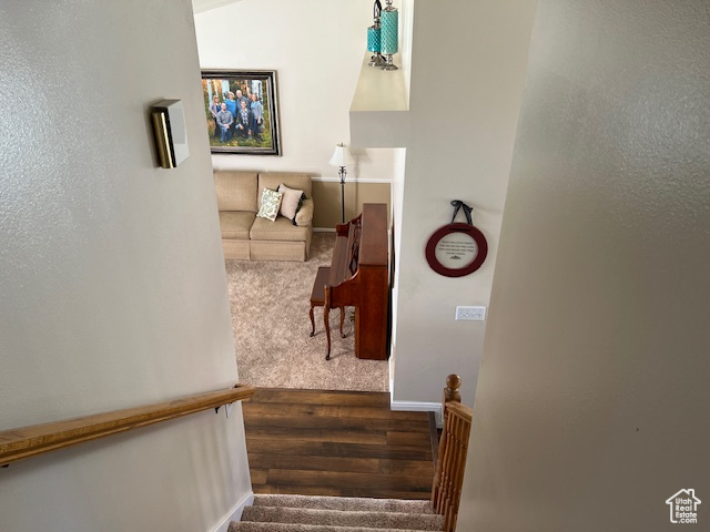 Staircase featuring carpet