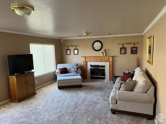 Living room with crown molding, carpet floors, and a fireplace