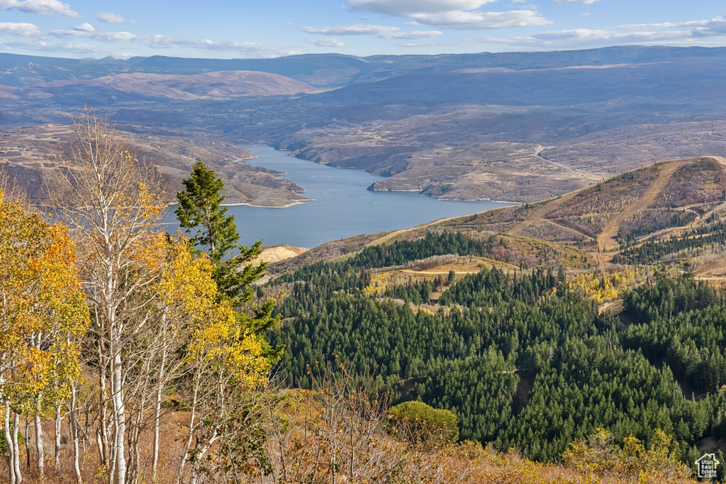 Drone / aerial view featuring a water and mountain view