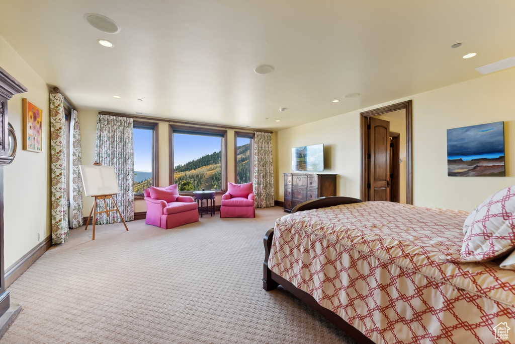 Bedroom with carpet floors