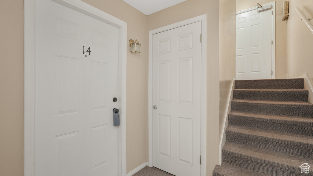 Stairway featuring carpet floors