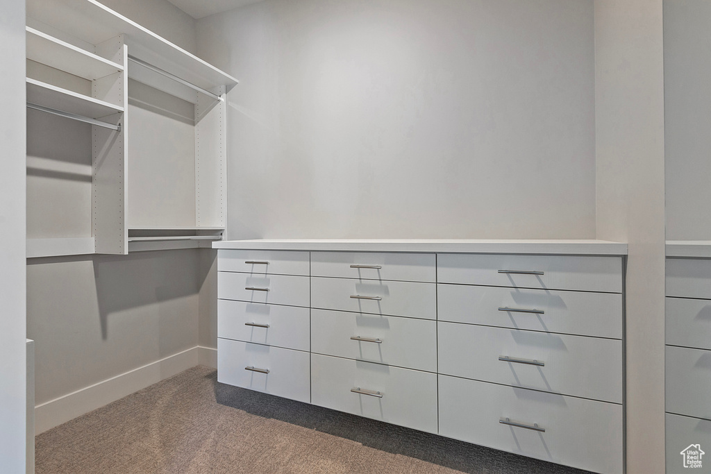 Spacious closet featuring carpet floors