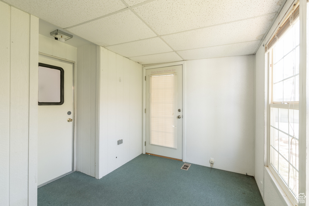 Carpeted spare room featuring a drop ceiling and a healthy amount of sunlight