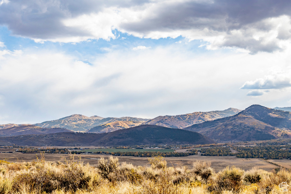 Mountain view