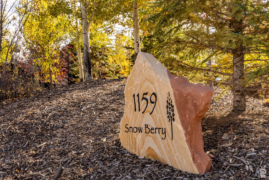 1159 SNOW BERRY ST Park City, UT 84098