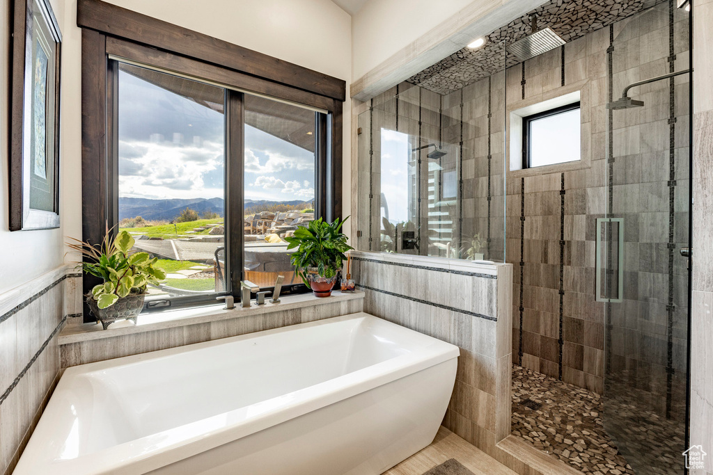 Full bath featuring a shower stall, a bath, and a mountain view