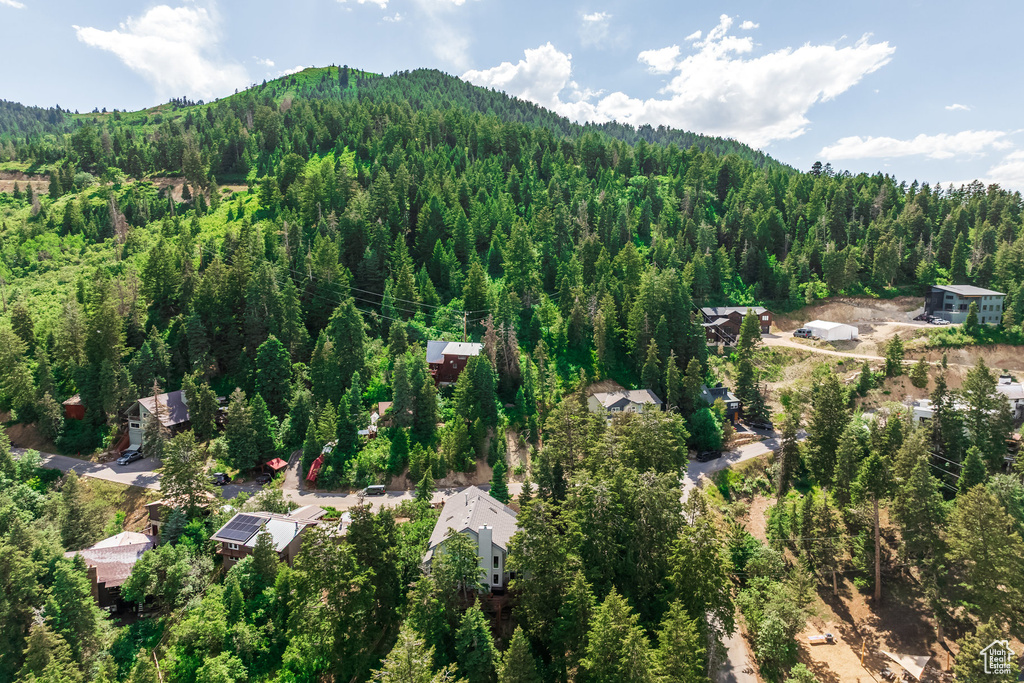 Aerial overview of property's location featuring a heavily wooded area and a mountain backdrop