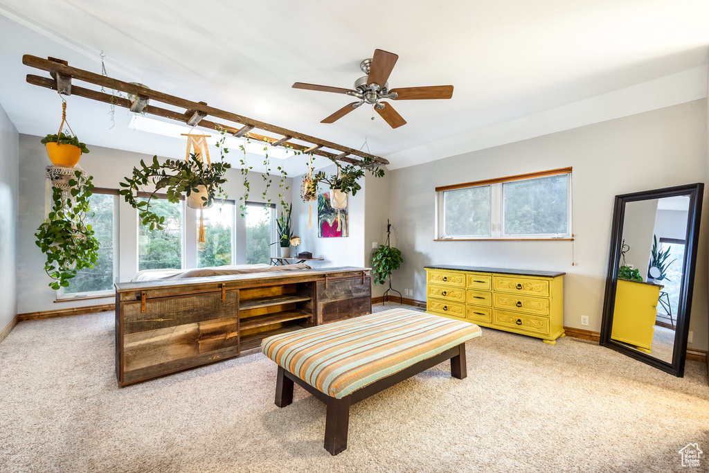 Living area with carpet and ceiling fan