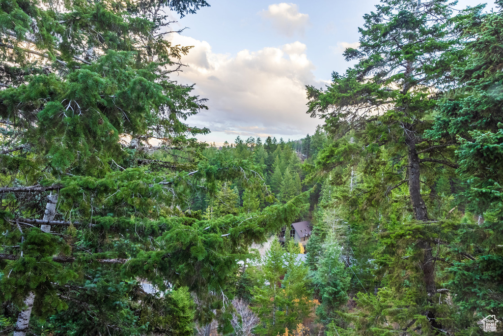 View of nature at dusk