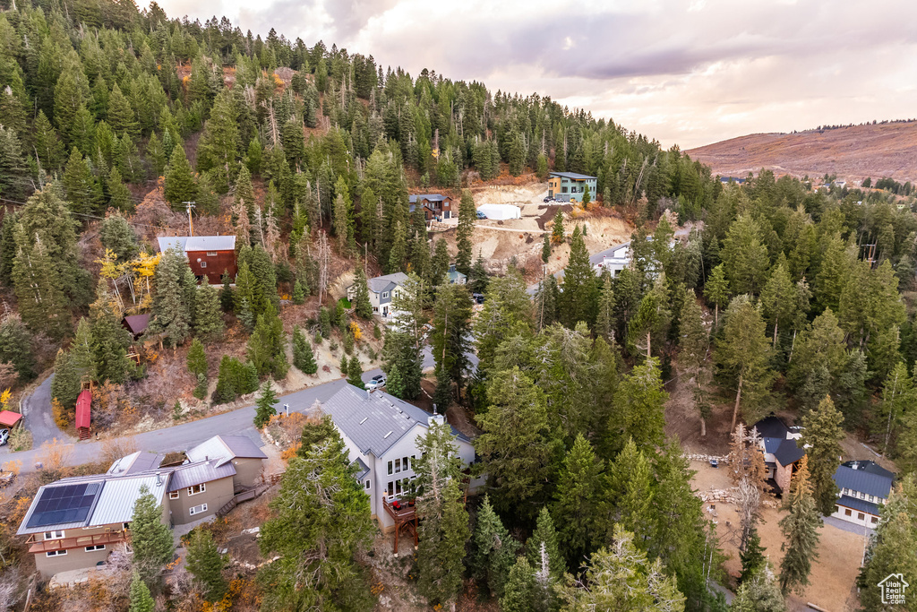 Drone / aerial view of a forest and a mountainous background