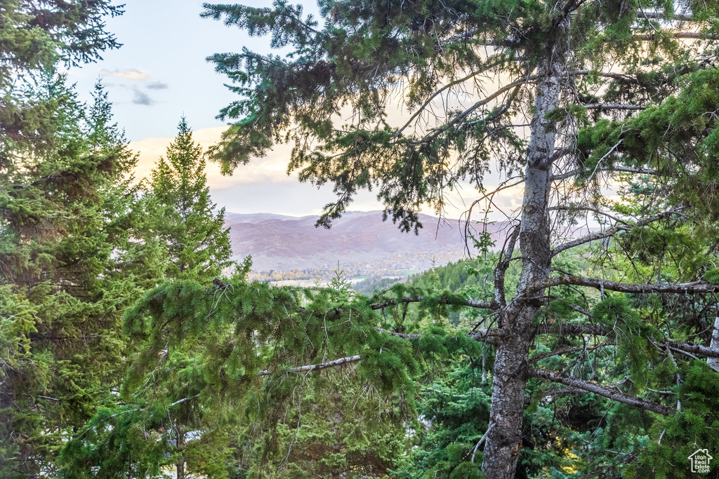 Nature at dusk featuring a mountain view