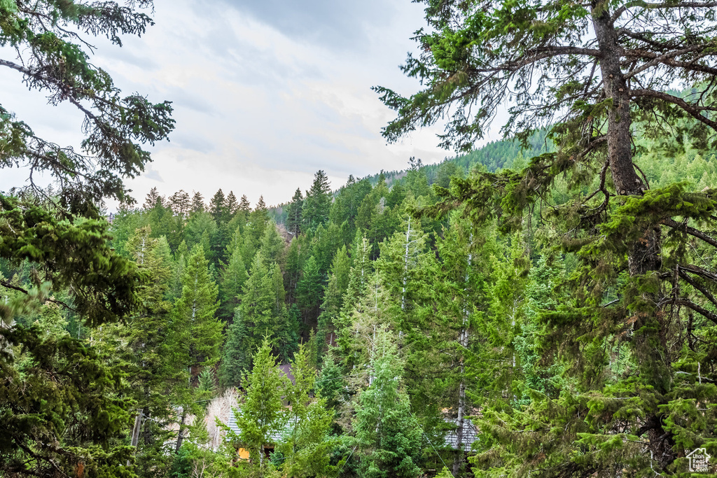 View of nature