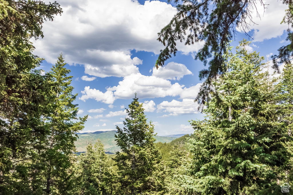 Water view with a forest and a mountain backdrop