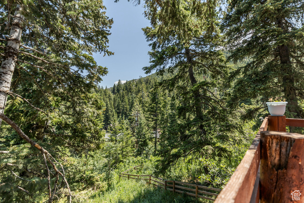 View of woods