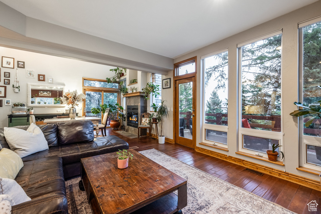 Living room with a wealth of natural light and hardwood / wood-style floors
