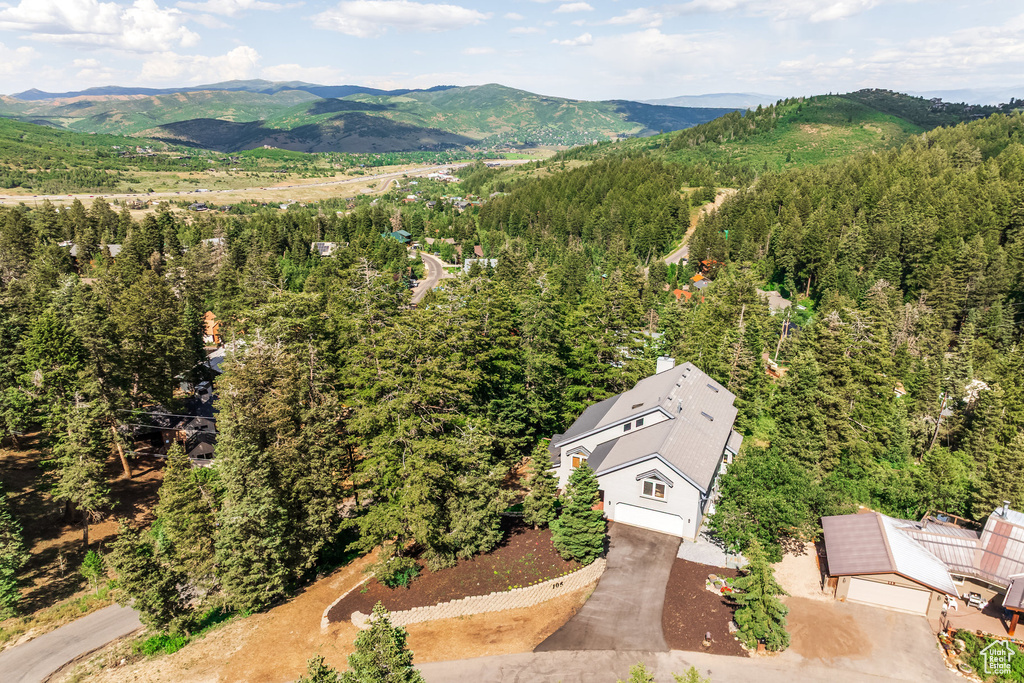 Bird's eye view of a mountain backdrop